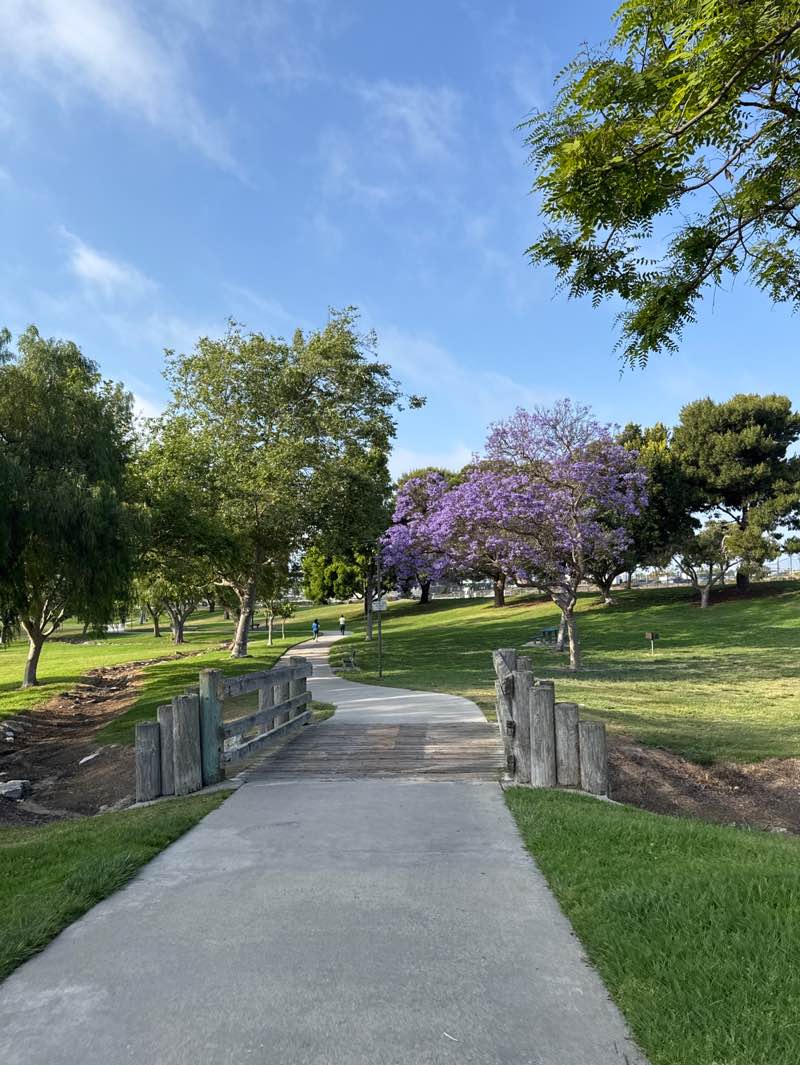 walking near me in Delthorne Park in summer