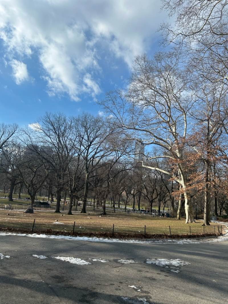 walking near me in Grand Army Plaza in winter