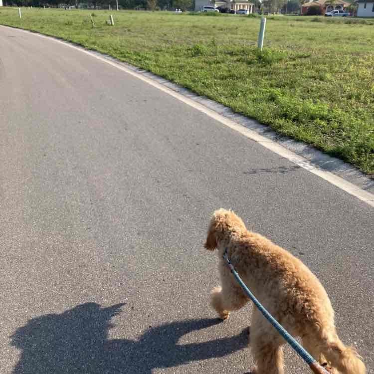 ImSophieTheDoodle post 3