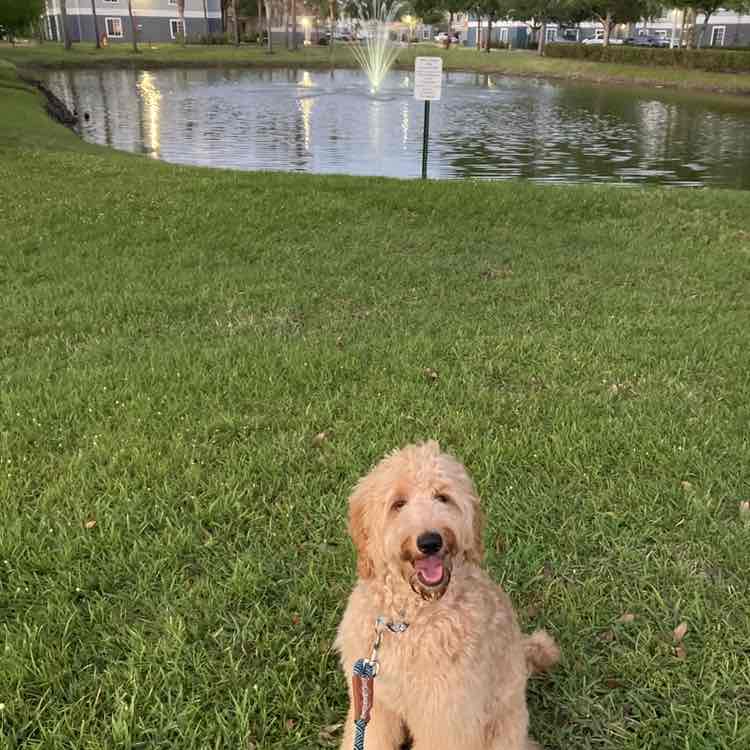 ImSophieTheDoodle post 3
