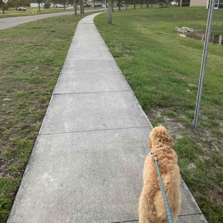 ImSophieTheDoodle post 2