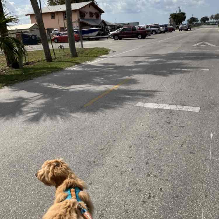 ImSophieTheDoodle post 3