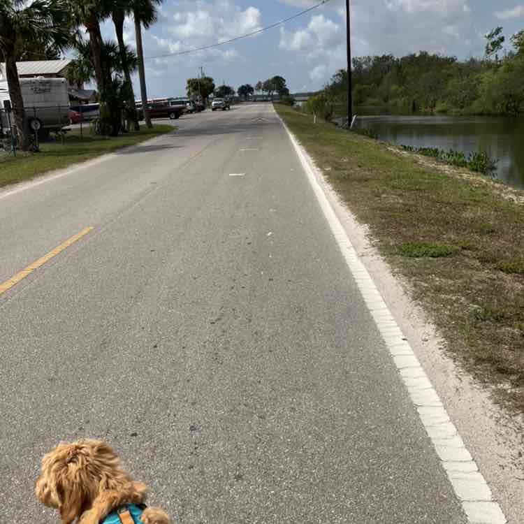 ImSophieTheDoodle post 2