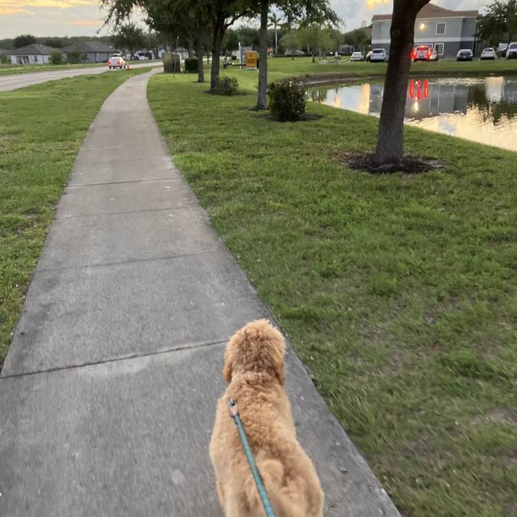 ImSophieTheDoodle post 2