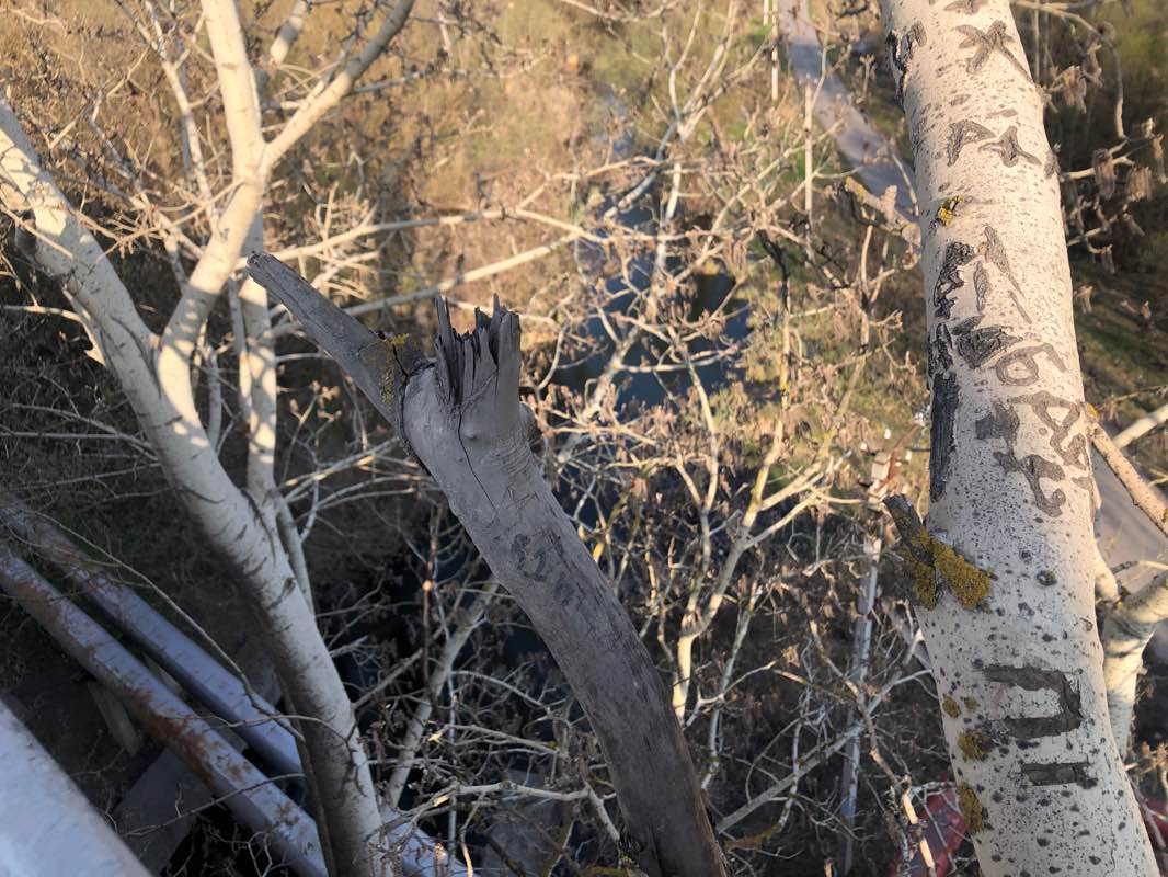 walking near me in сквер Лунный Свет in winter