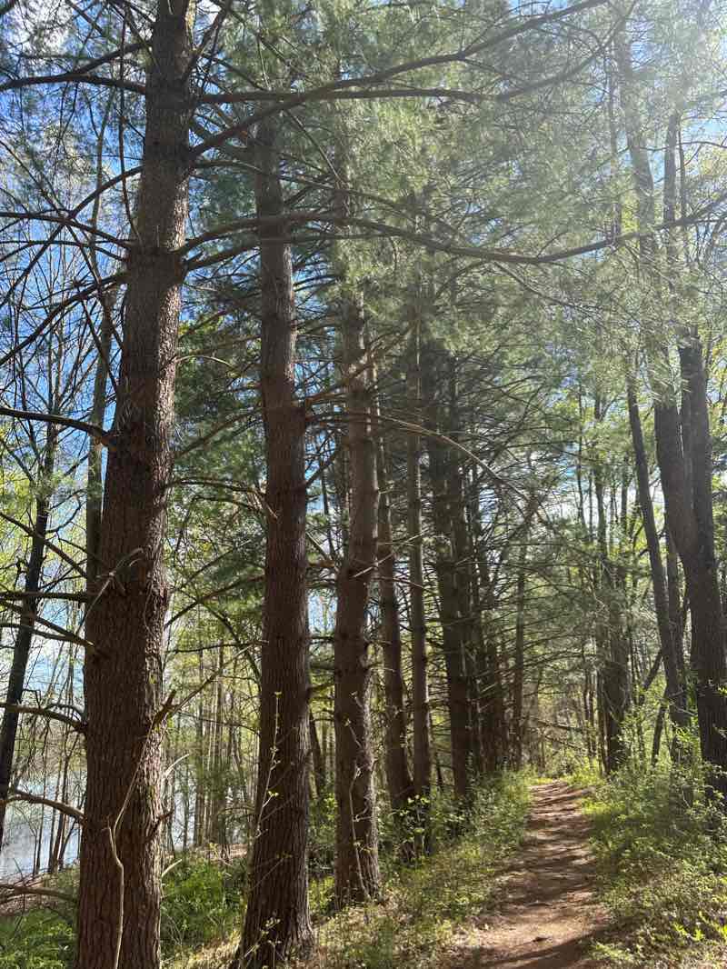 walking near me in Fairfax State Recreation Area in winter