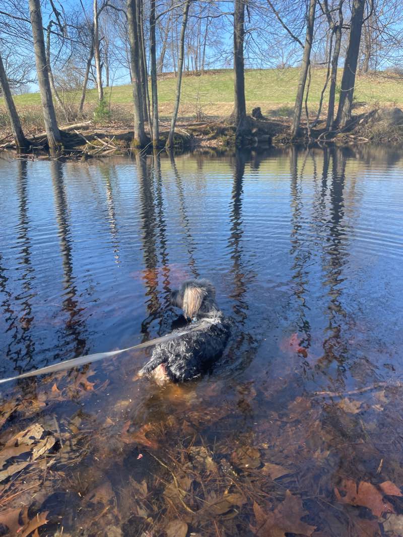 walking near me in Breakneck Hill Conservation Area in winter