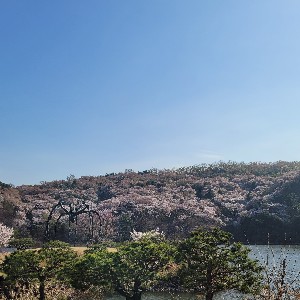 이러다 다죽어_동환 profile