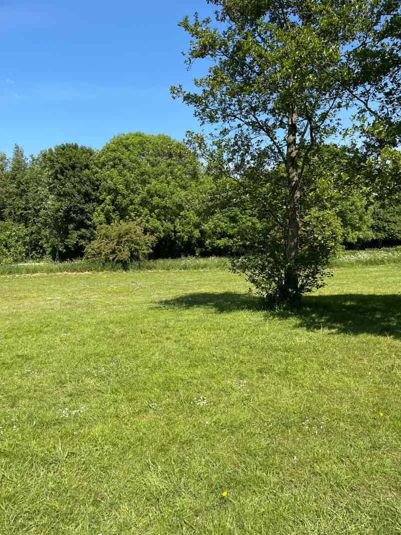 walking near me in Tithebarn Park in spring