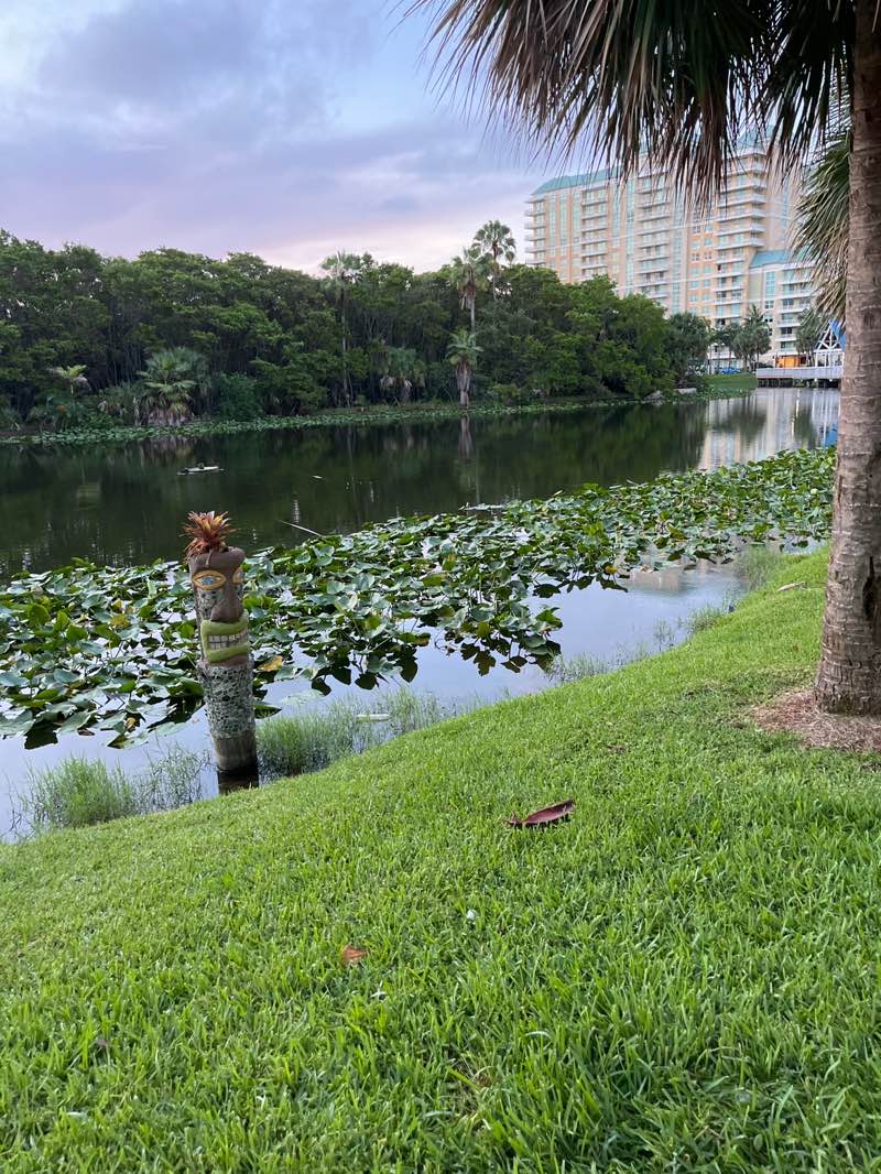 walking near me in Mangrove Park in autumn
