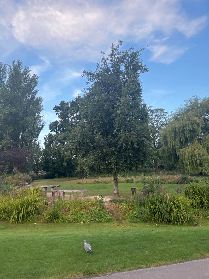 walking near me in Jean Stansfield Memorial Park (Vicarage Park) in autumn