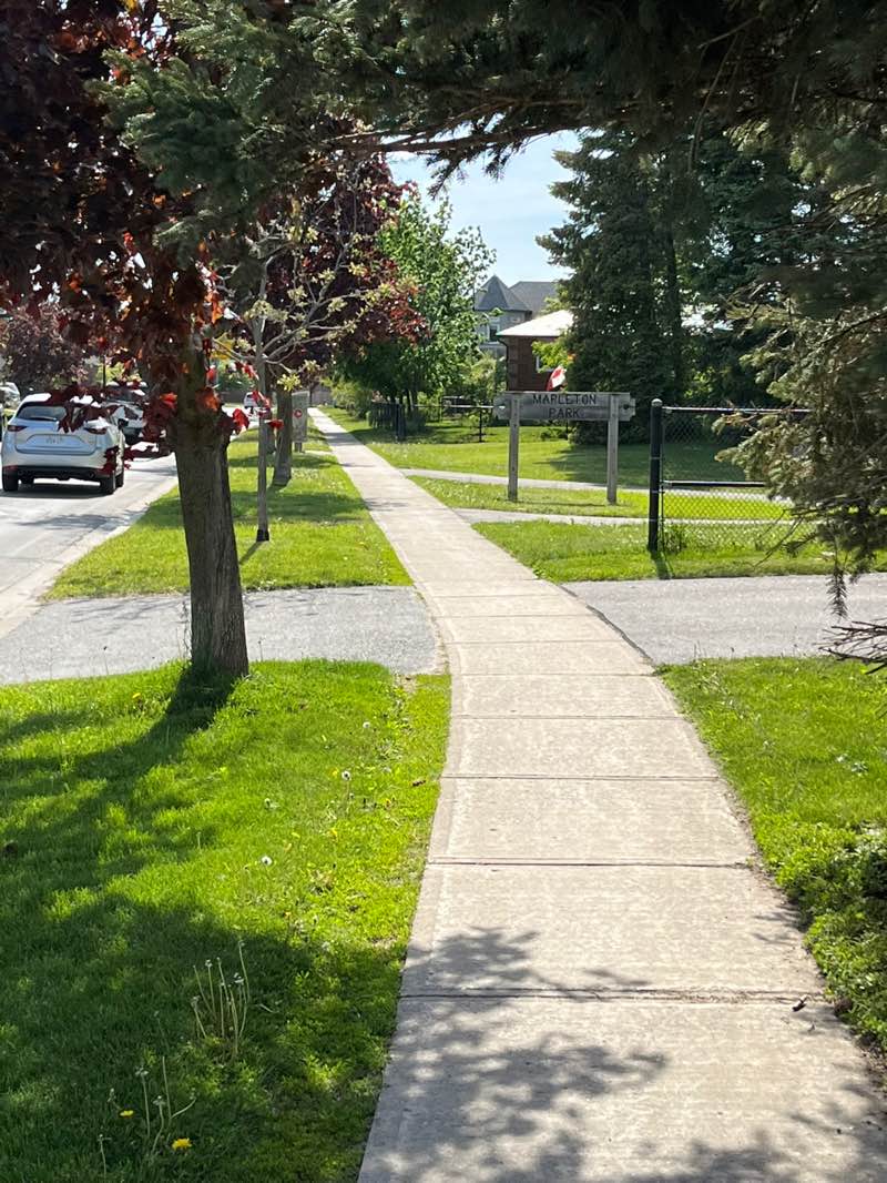 walking near me in Mapleton Park in summer
