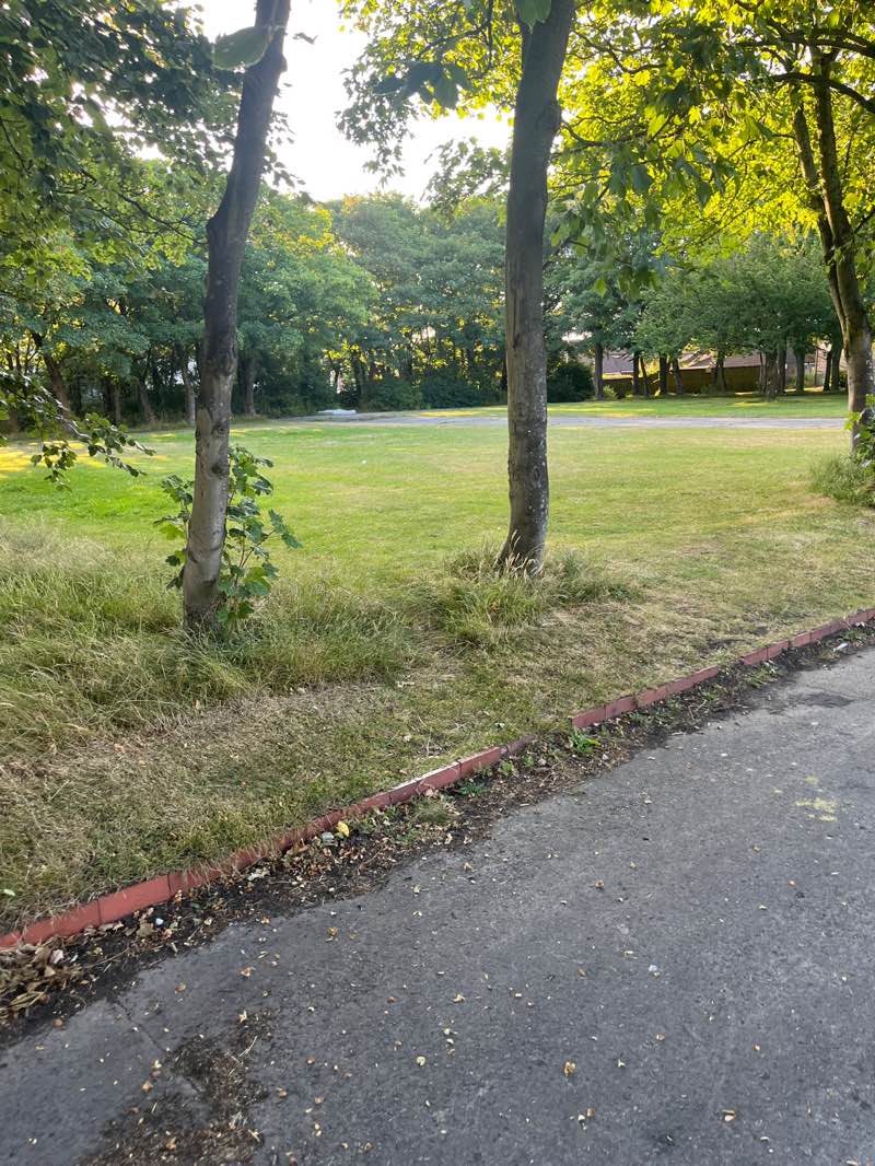 walking near me in Boundary Park in summer