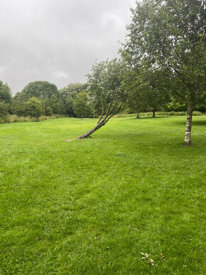 walking near me in Tithebarn Park in summer