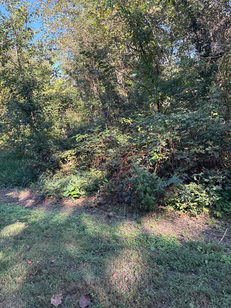 walking near me in Rippon Landing Neighborhood Park in autumn