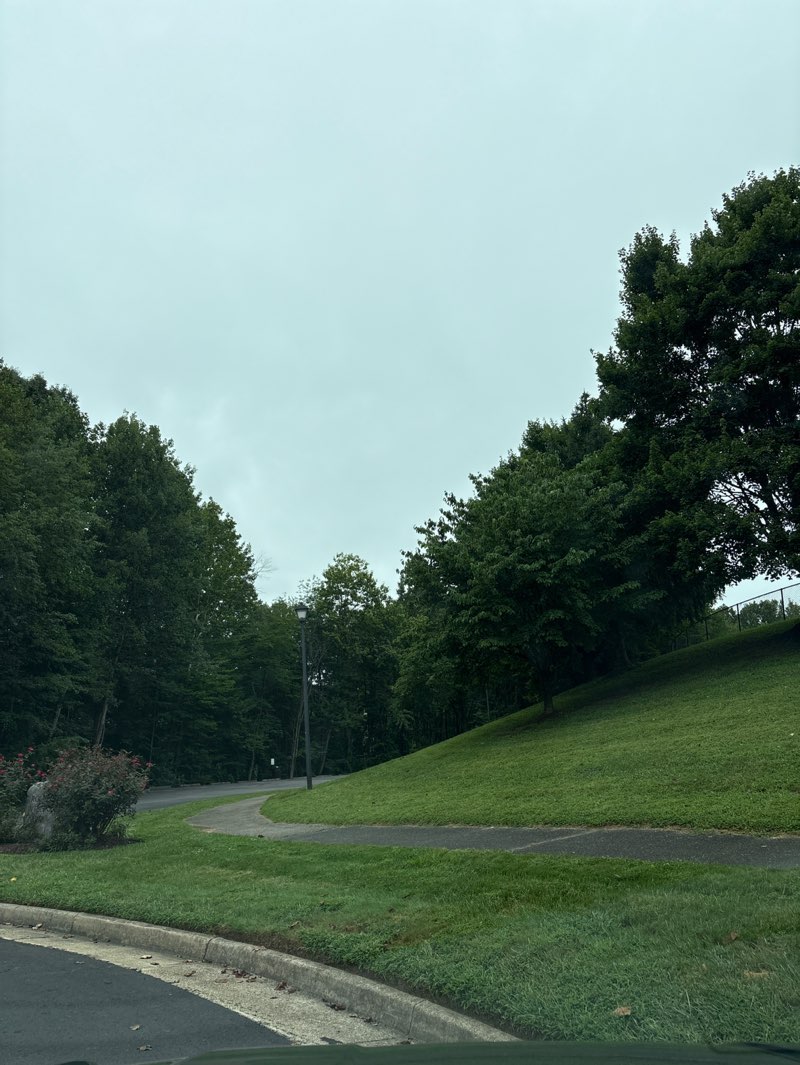 walking near me in Rollingwood in autumn