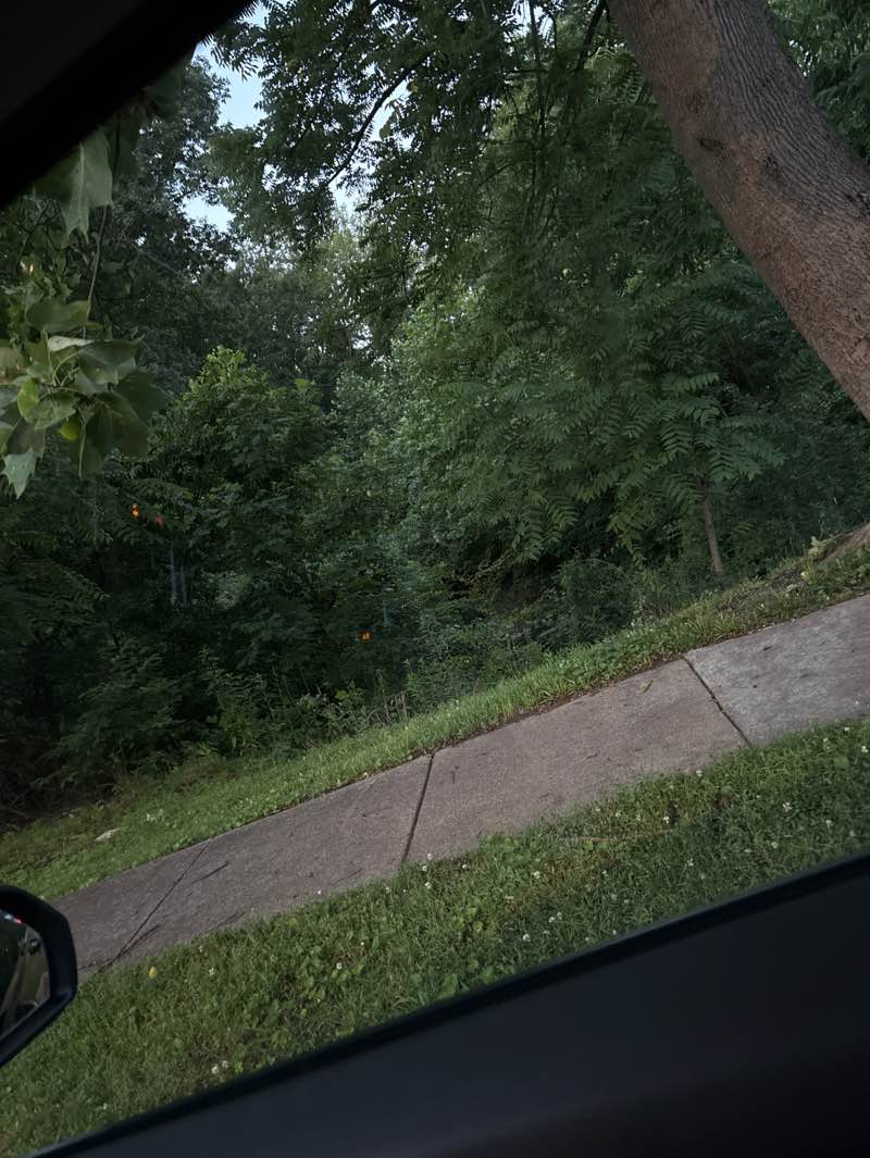 walking near me in Flag Run Park in summer
