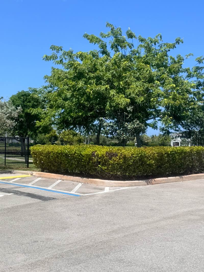 walking near me in Officer Joseph Crowder Park in autumn