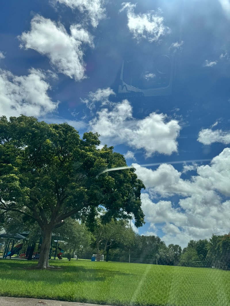 walking near me in Lakeside Park in autumn