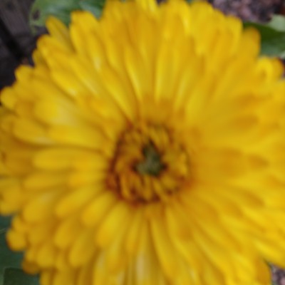 Barbara post 2