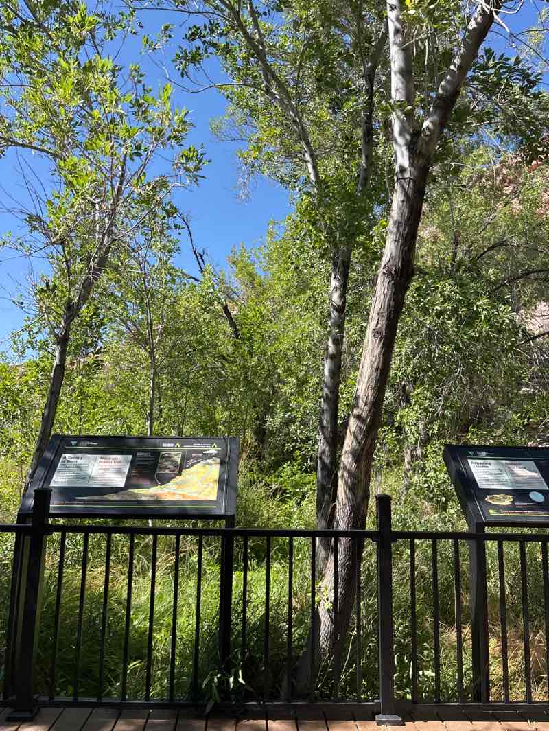 walking near me in Red Rock Canyon National Conservation Area in spring