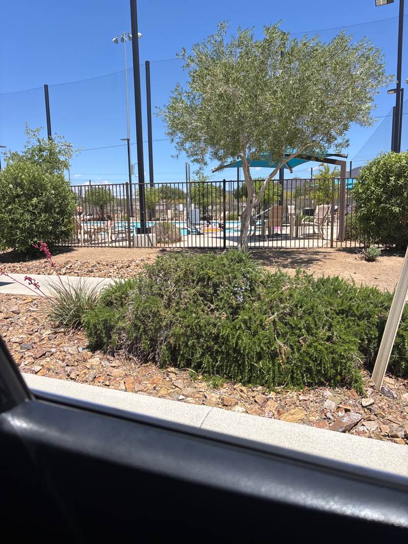 walking near me in Aventura Park in spring