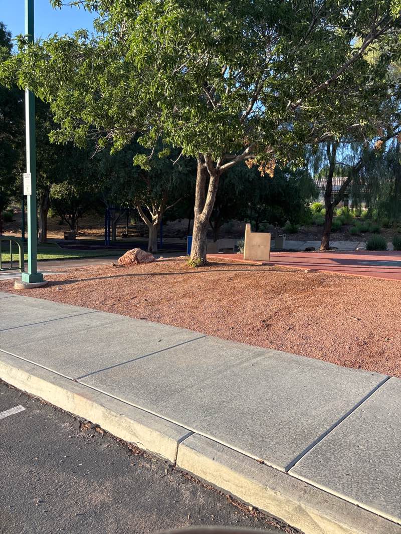 walking near me in Puccini Park in summer