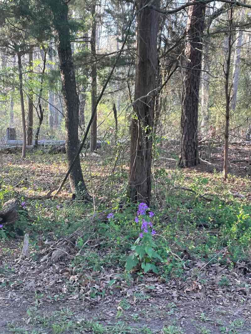 walking near me in Jacques Cousteau National Estuarine Research Reserve in winter
