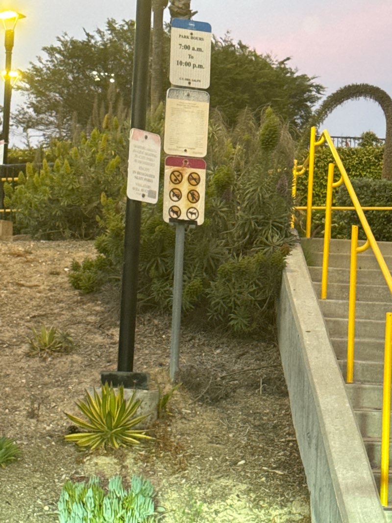 walking near me in Veteran's Park in spring