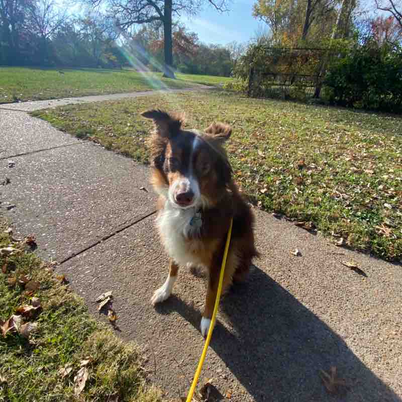 TRO Walking Group Nicholas post image