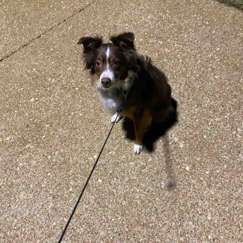 TRO Walking Group Nicholas post image