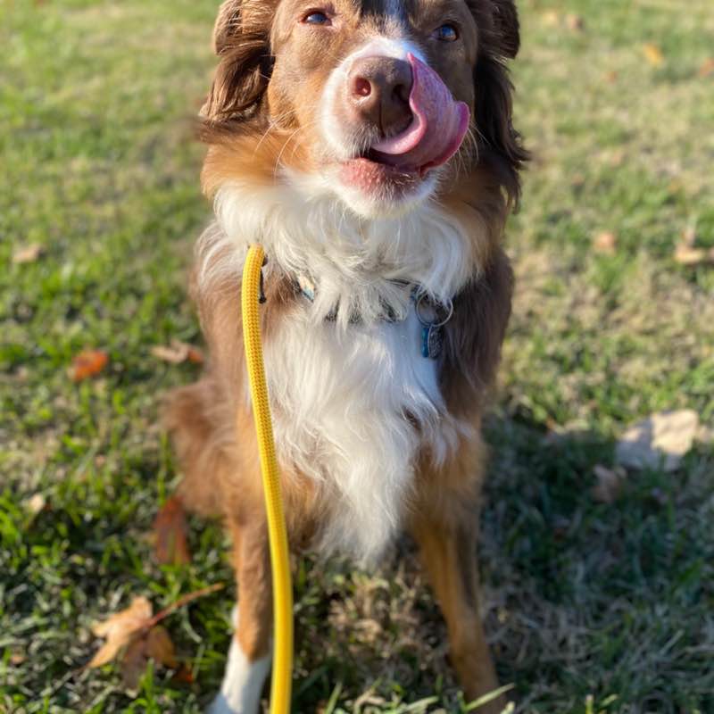 TRO Walking Group Nicholas post image