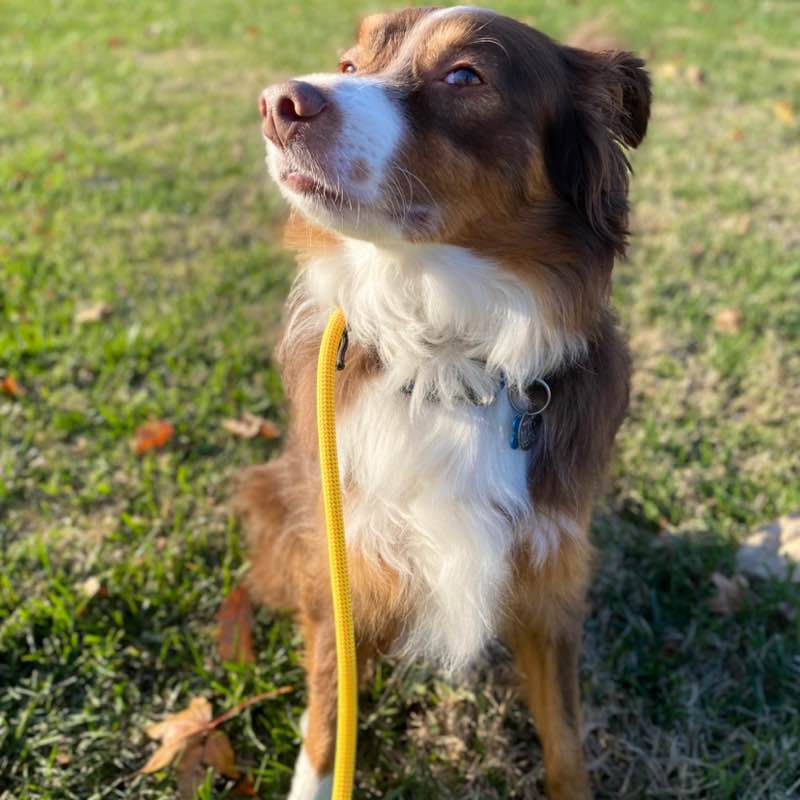 TRO Walking Group Nicholas post image