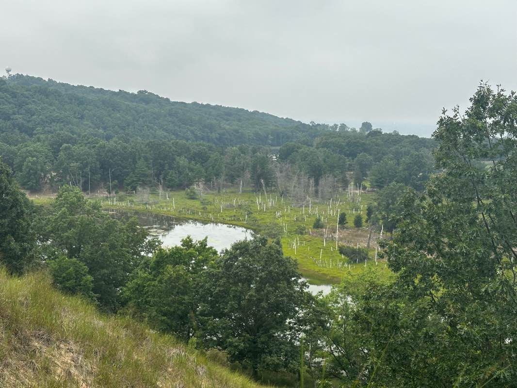 walking near me in Mount Baldhead Recreation Area in summer