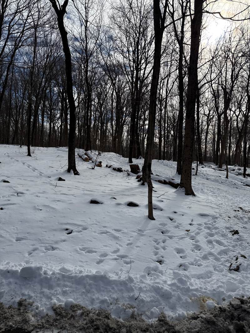 walking near me in Tallman Mountain State Park in winter
