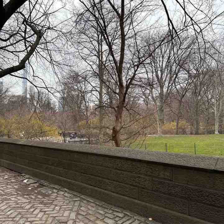 Luciano 🇺🇸🇬🇧🇿🇦 post 1