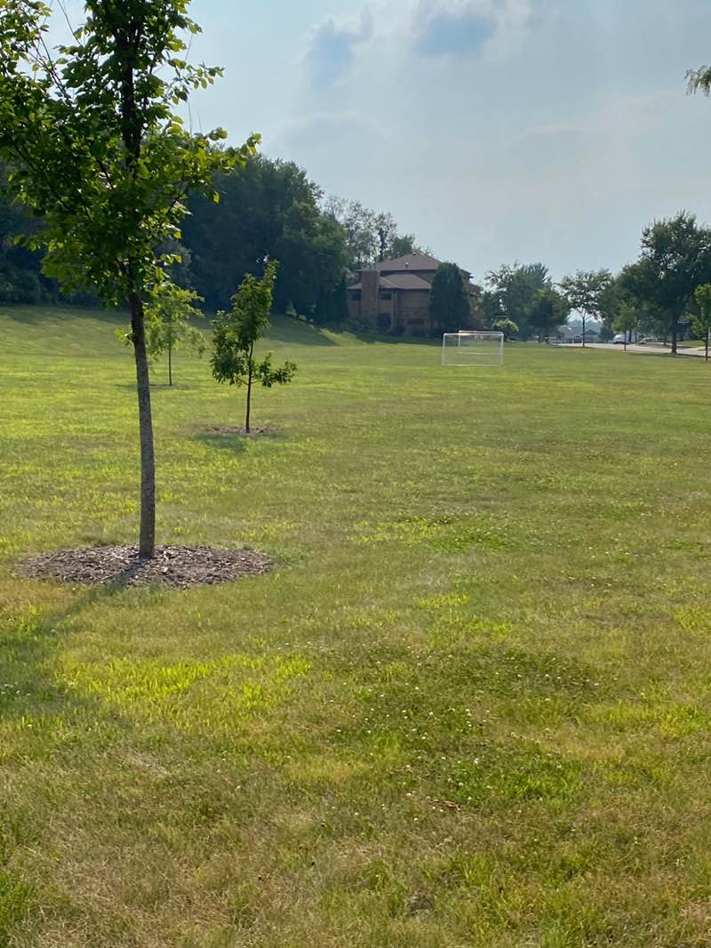 walking near me in Westside Park in autumn