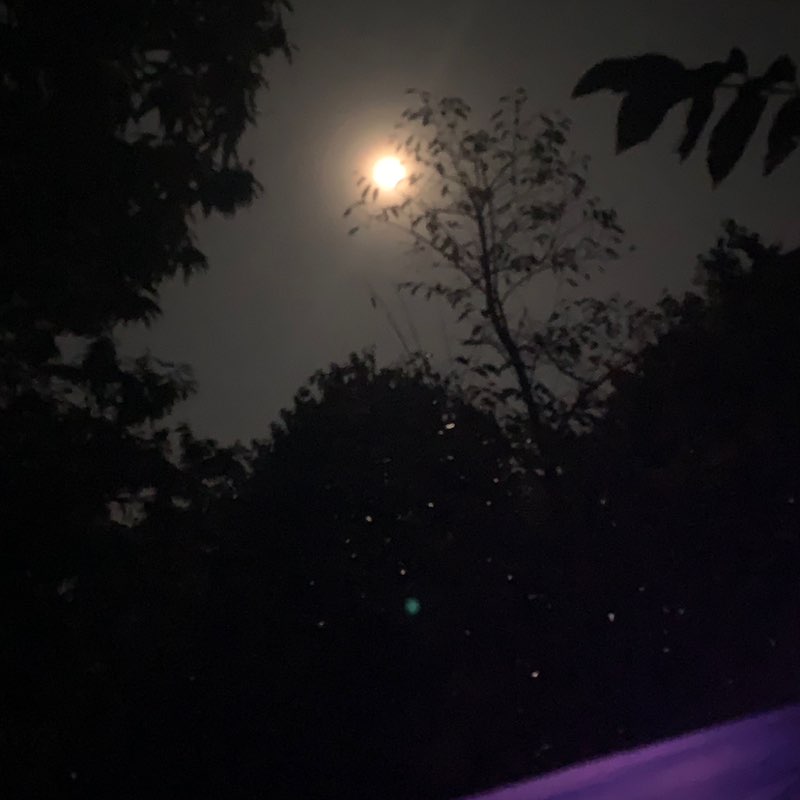 건강하게 걷기 post 2