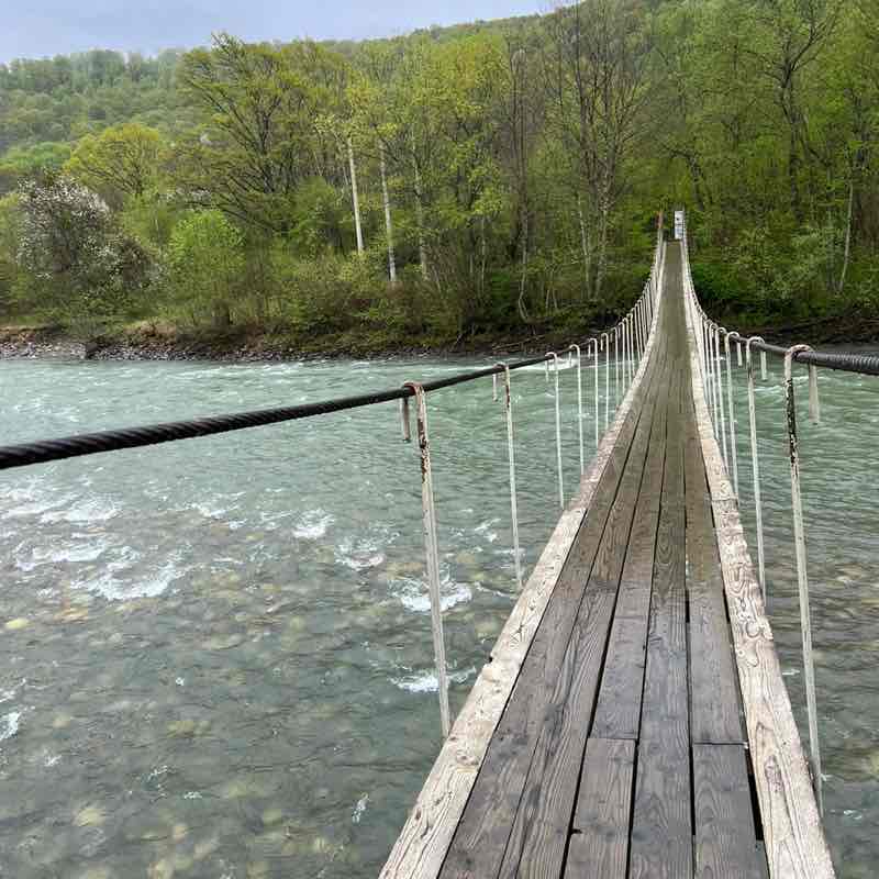 1 ГРУППА Лилия post image