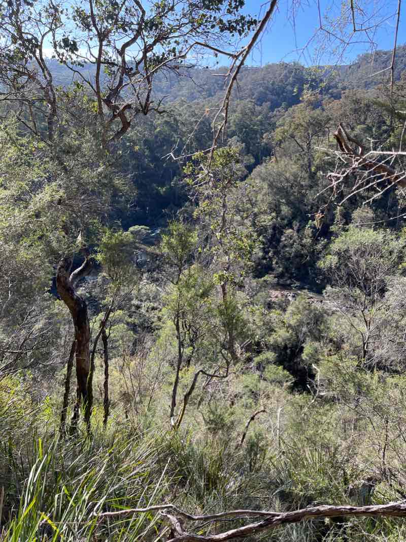 walking near me in Tyers Park in summer