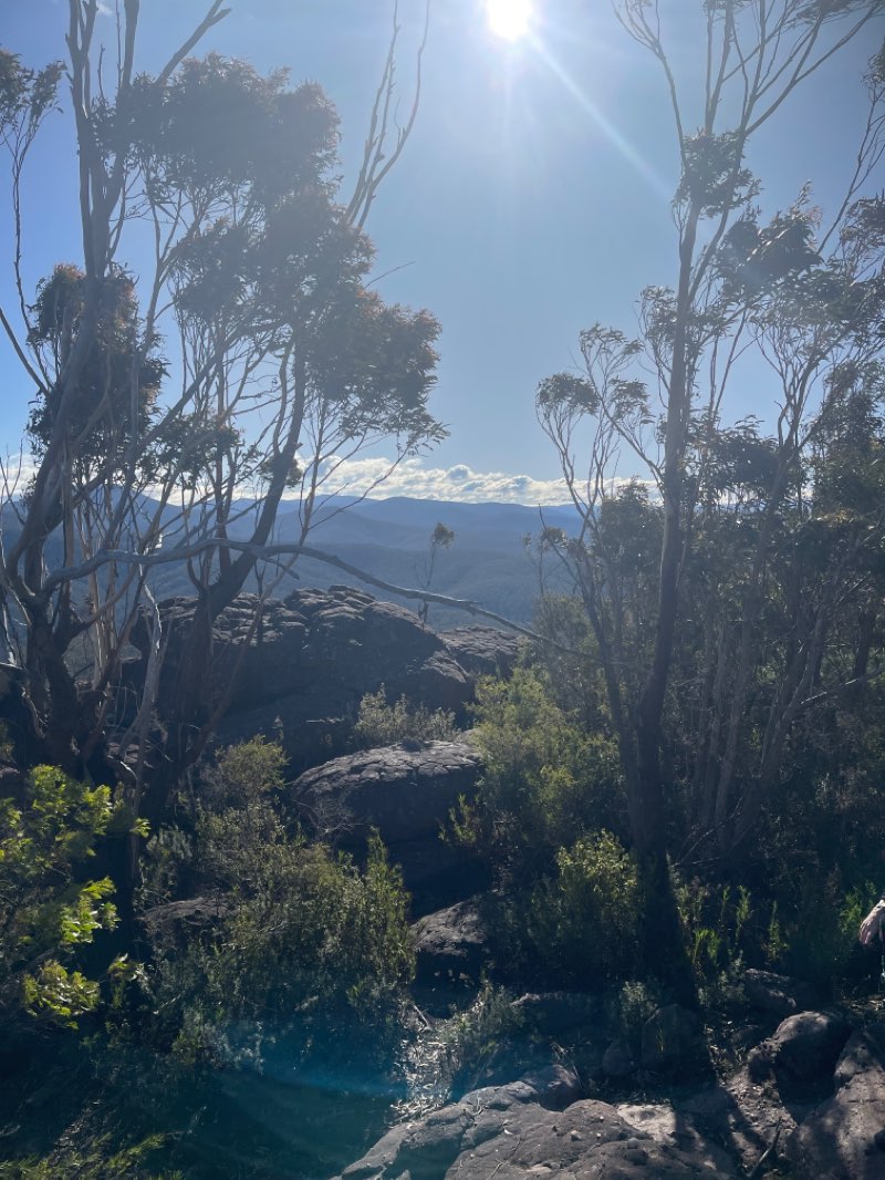 walking near me in Avon - Mt Hedrick Natural Features and Scenic Reserve in summer