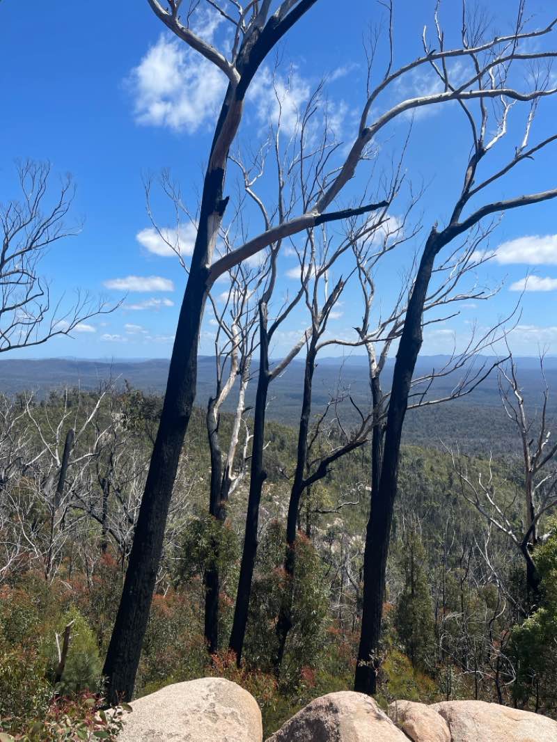 walking near me in Croajingolong National Park in summer