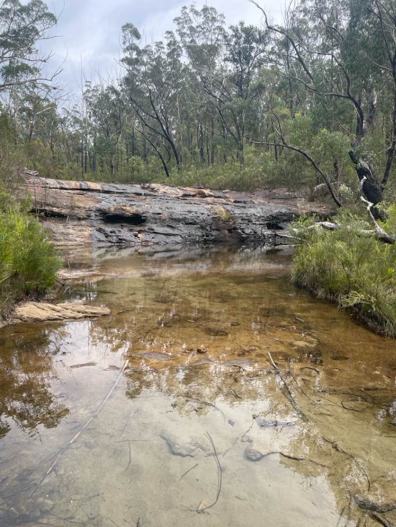 walking near me in Conjola National Park in summer