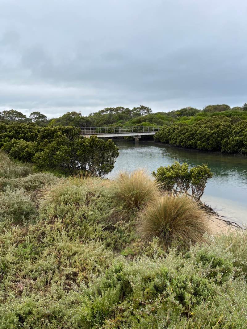 walking near me in Inverloch Coastal Reserve in summer