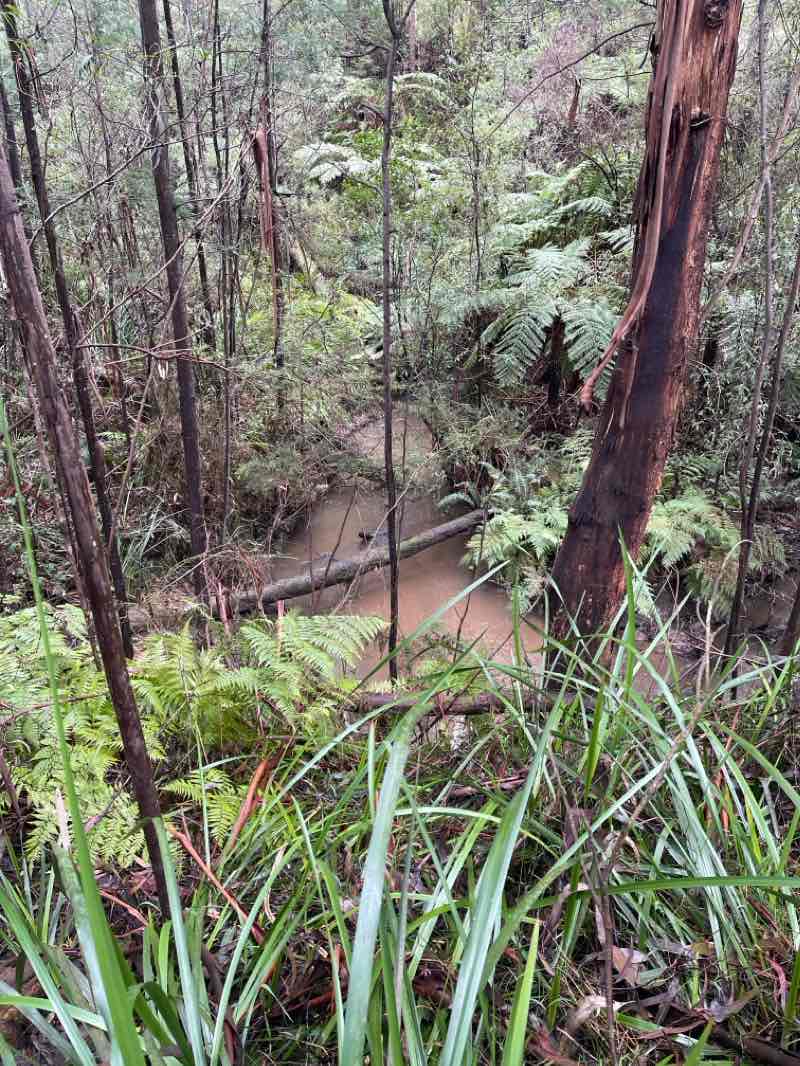 walking near me in Baromi Park in summer