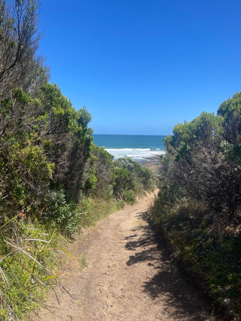 walking near me in Bunurong Marine Park in summer