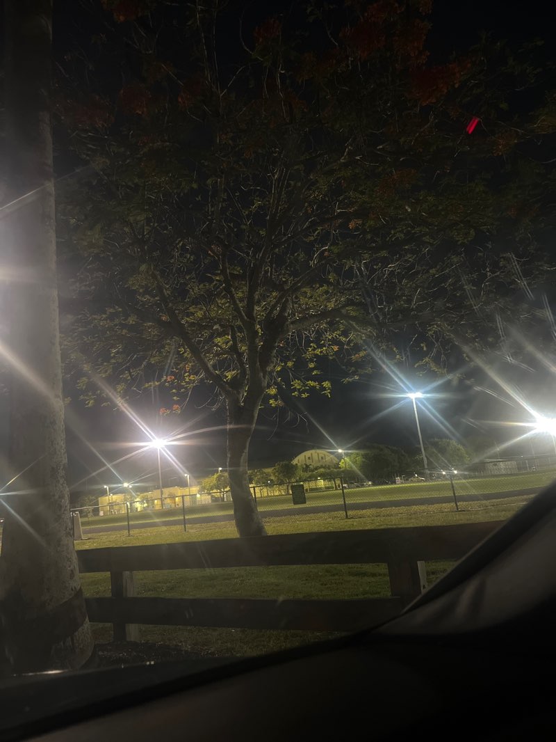 walking near me in Goulds Park in spring