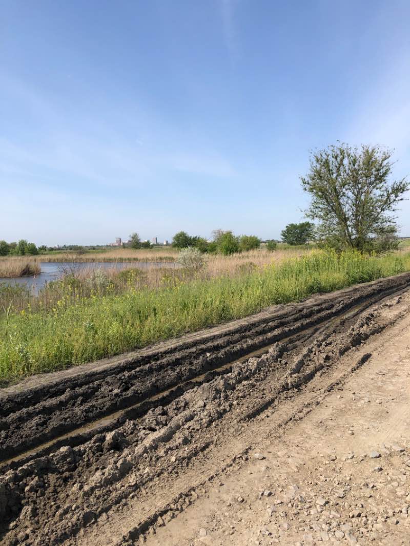 walking near me in Парк имени Ленина in winter