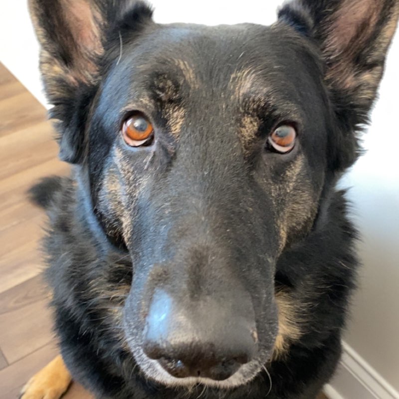 Sarah Thrasher profile