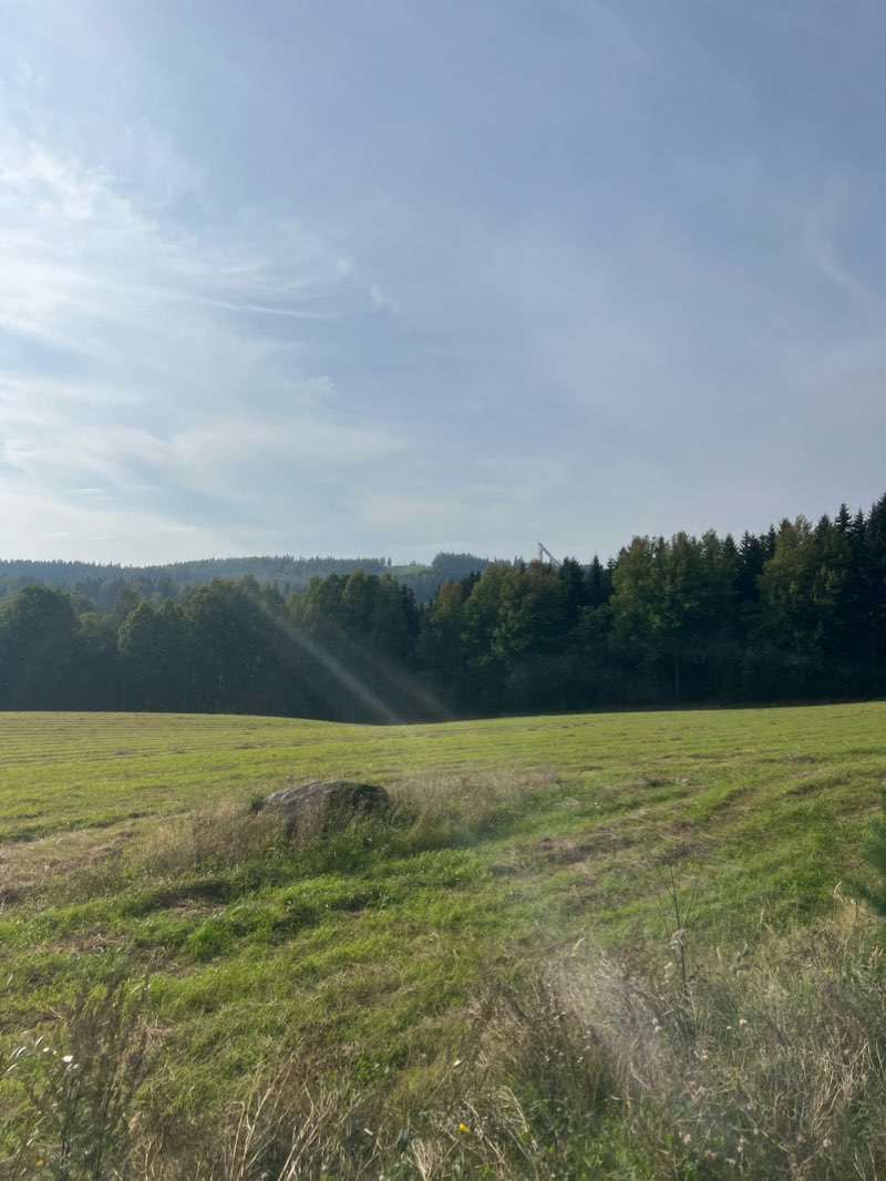 walking near me in Taitoniekan Puisto in winter